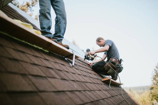 Roof Gutter Cleaning in Mequon, WI